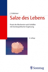 Salze des Lebens - Jochen Schleimer