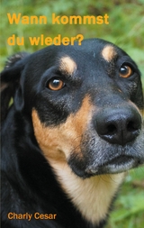 Wann kommst du wieder? - Charly Cesar