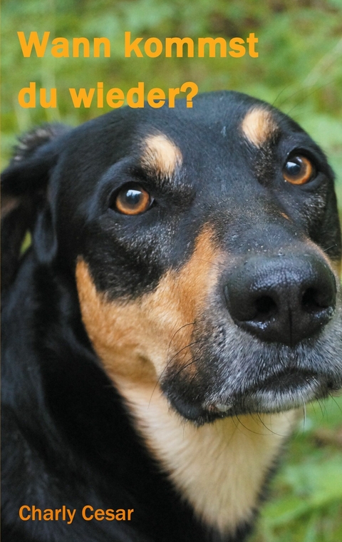 Wann kommst du wieder? - Charly Cesar