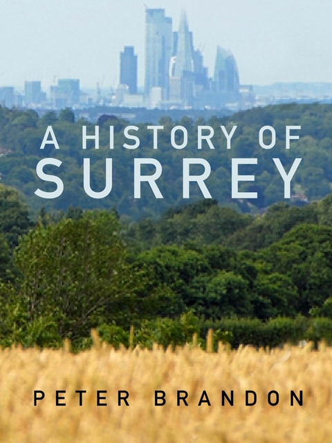 A History of Surrey - Peter Brandon