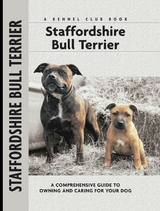 Staffordshire Bull Terrier - Jane Hogg Frome