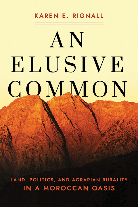 An Elusive Common - Karen E. Rignall