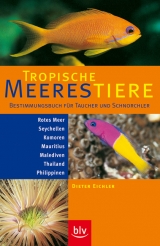 Tropische Meerestiere - Eichler, Dieter