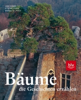 Bäume, die Geschichten erzählen - Kühn, Uwe; Kühn, Stefan; Ullrich, Bernd