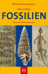 Fossilien - Helmut Mayr