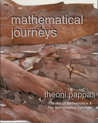 Mathematical Journeys