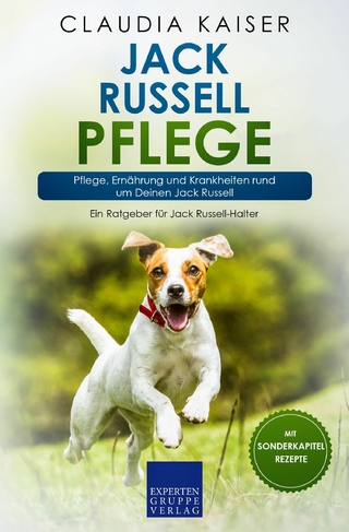 Jack Russell Pflege