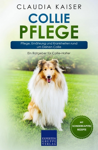 Collie Pflege