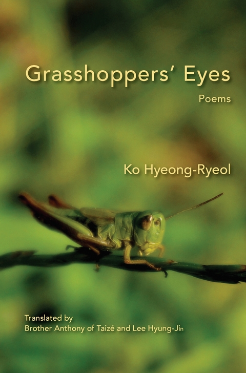 Grasshoppers' Eyes - Ko Hyeong-Ryeol
