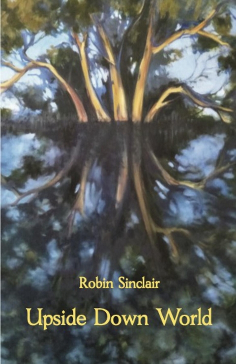 Upside Down World - Robin Sinclair