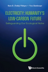 ELECTRICITY: HUMANITY'S LOW-CARBON FUTURE - Hans B (Teddy) Puttgen, Yves Bamberger