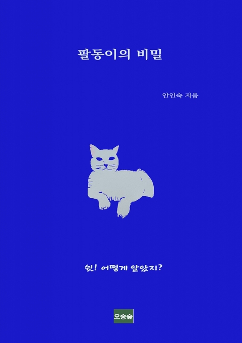 팔동이의 비밀 - 안 인숙