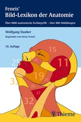 Bild-Lexikon der Anatomie - Wolfgang Dauber