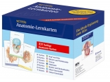 Netters Anatomie-Lernkarten - Frank H Netter