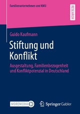 Stiftung und Konflikt - Guido Kaufmann