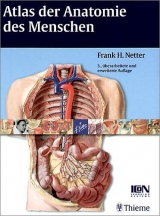 Paket: NETTER, Atlas der Anatomie des Menschen, 2003, plus NETTERs Anatomie-Lernkarten, 2003 - Netter, Fank H