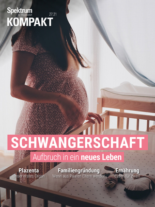 Spektrum Kompakt - Schwangerschaft