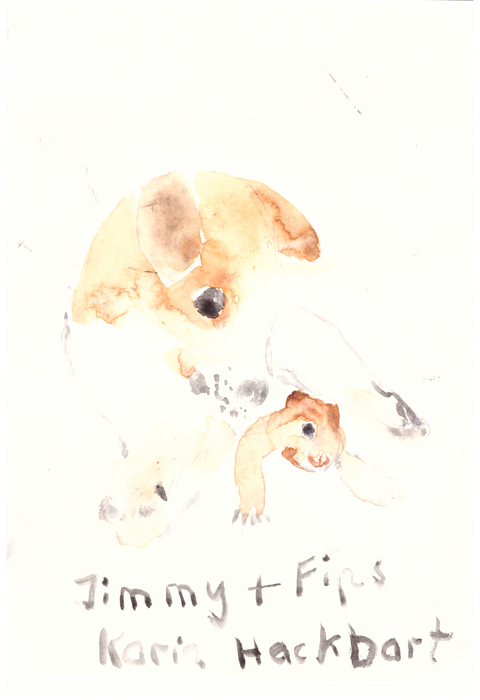 Jimmy und Fips - Karin Hackbart