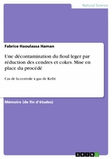 Une d&eacute;contamination du fioul leger par r&eacute;duction des cendres et cokes. Mise en place du proc&eacute;d&eacute; - Fabrice Haoulassa Haman