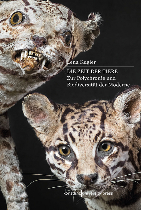 Die Zeit der Tiere -  Lena Kugler