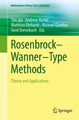 Rosenbrock—Wanner–Type Methods - 