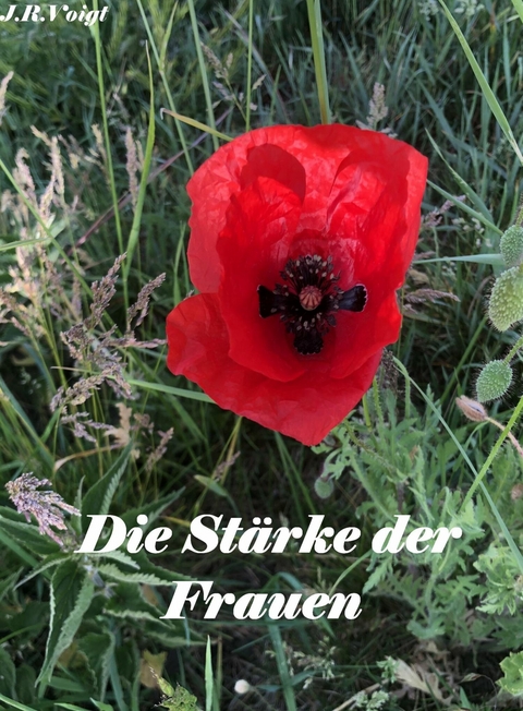 Die St&auml;rke der Frauen - J&ouml;rg Voigt