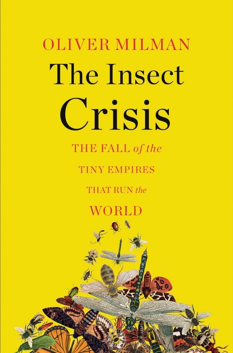 The Insect Crisis - Oliver Milman