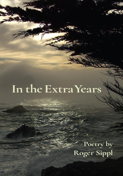 In the Extra Years - Roger Sippl