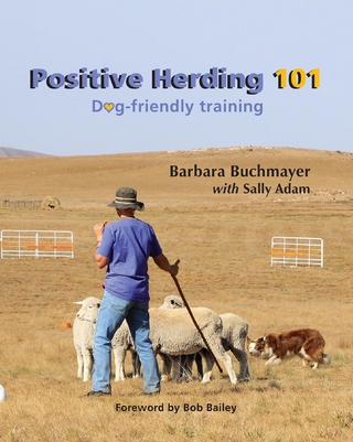 Positive Herding 101