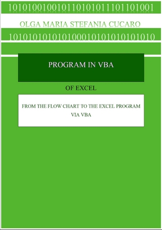 Program in VBA (Visual Basic for Applications)