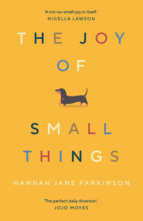 Joy of Small Things -  Hannah Jane Parkinson