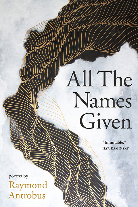 All The Names Given - Raymond Antrobus