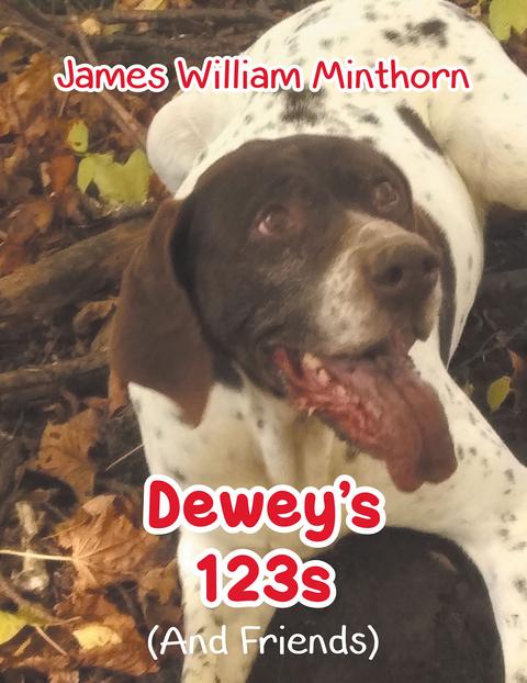 Dewey's 123s - James William Minthorn