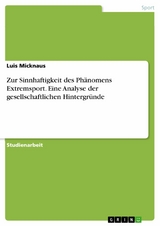 Zur Sinnhaftigkeit des Ph&auml;nomens Extremsport. Eine Analyse der gesellschaftlichen Hintergr&uuml;nde - Luis Micknaus