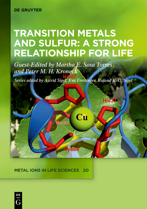 Transition Metals and Sulfur &ndash; A Strong Relationship for Life - 
