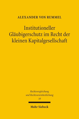 Institutioneller Gläubigerschutz im Recht der kleinen Kapitalgesellschaft