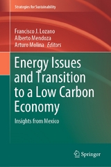 Energy Issues and Transition to a Low Carbon Economy - 