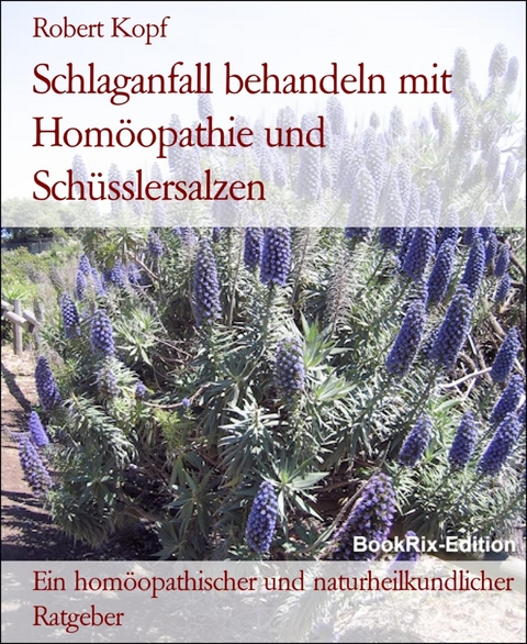 Schlaganfall behandeln mit Hom&ouml;opathie und Sch&uuml;sslersalzen - Robert Kopf