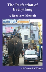 The Perfection of Everything - Ali Webster