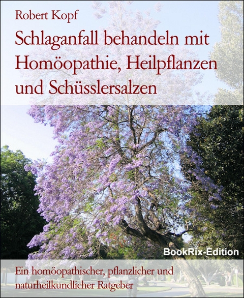 Schlaganfall behandeln mit Hom&ouml;opathie, Heilpflanzen und Sch&uuml;sslersalzen - Robert Kopf