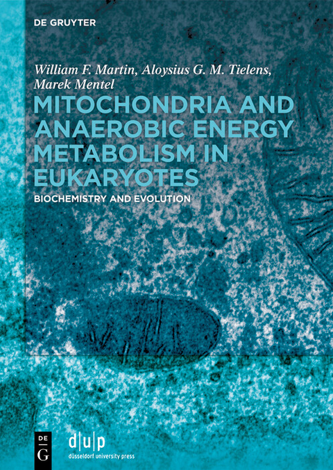 Mitochondria and Anaerobic Energy Metabolism in Eukaryotes -  William F. Martin,  Aloysius G. M. Tielens,  Marek Mentel