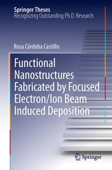 Functional Nanostructures Fabricated by Focused Electron/Ion Beam Induced Deposition - Rosa C&oacute;rdoba Castillo