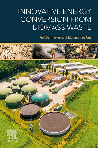 Innovative Energy Conversion from Biomass Waste