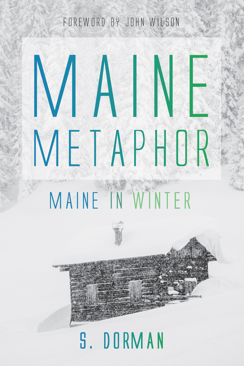 Maine Metaphor: Maine in Winter - S. Dorman