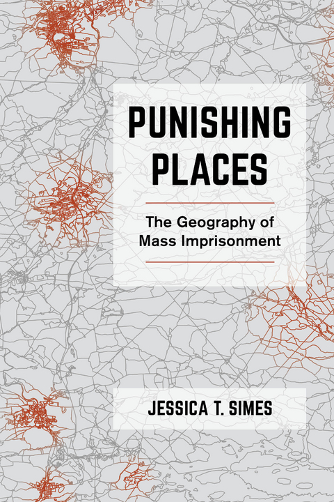Punishing Places - Jessica T. Simes