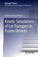 Kinetic Simulations of Ion Transport in Fusion Devices - Andr&eacute;s de Bustos Molina