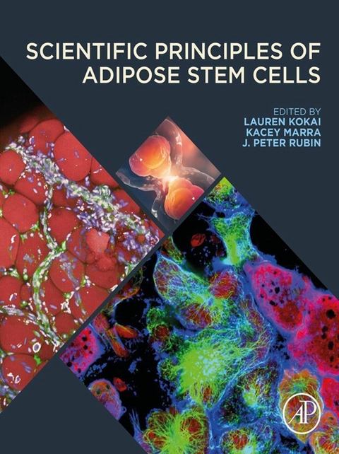Scientific Principles of Adipose Stem Cells - 