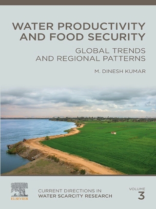 Water Productivity and Food Security