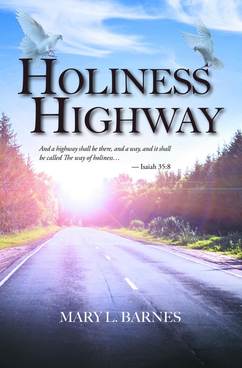 Holiness Highway - Mary L. Barnes