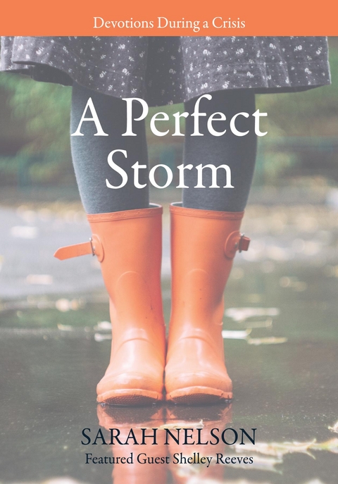 A Perfect Storm - Sarah Nelson
